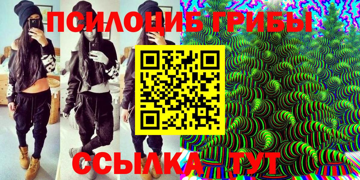 Саки  Псилоцибиновые грибы GOLDEN TEACHER  сколько стоит  Псилоцибиновые грибы прущие грибы  Вход с VPN 