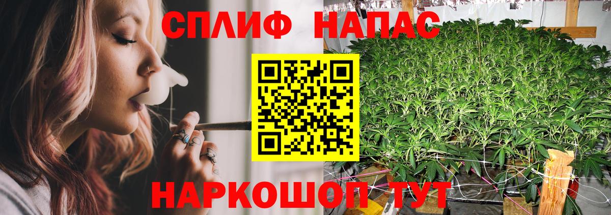 Саки  Бошки марихуана гибрид  Марихуана Amnesia  Вход с VPN 